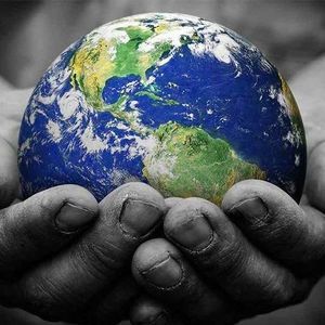 Meet your Posher, Pamela